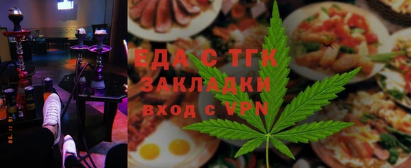 тгк Инсар