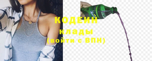 ешки Иннополис