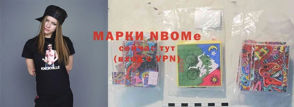тгк Инсар