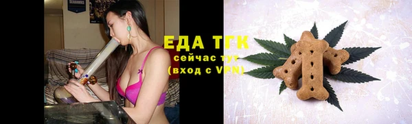 тгк Инсар