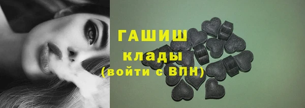 тгк Инсар