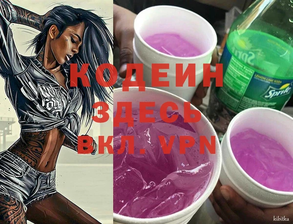 ешки Иннополис