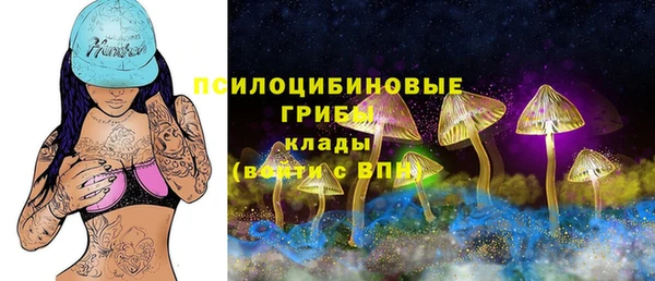 соль ск Мензелинск