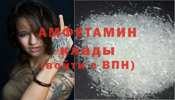 тгк Инсар