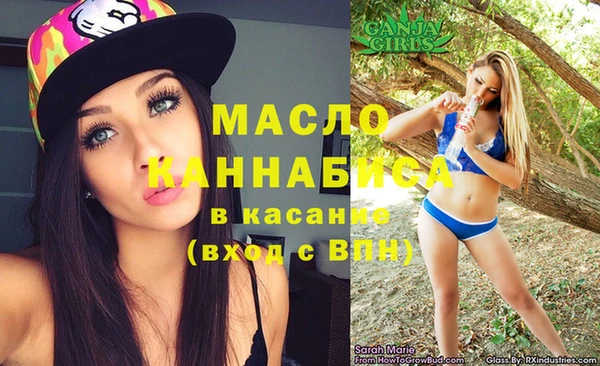 тгк Инсар