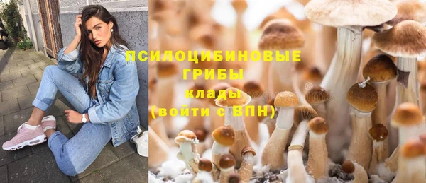 шишки Мещовск