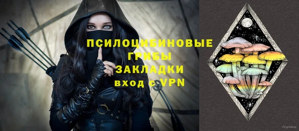 тгк Инсар