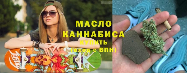 тгк Инсар