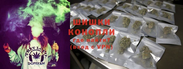 ешки Иннополис