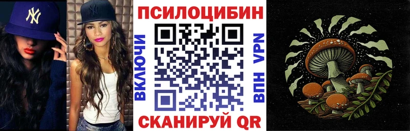 Псилоцибиновые грибы мицелий  купить  сайты  blacksprut онион  Спасск-Дальний 