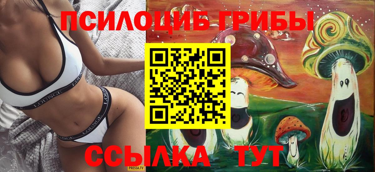 Спасск-Дальний  Псилоцибиновые грибы мицелий  Вход с VPN 
